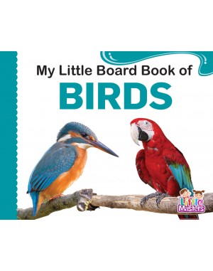 My Little Board Book  of - BIRDS 