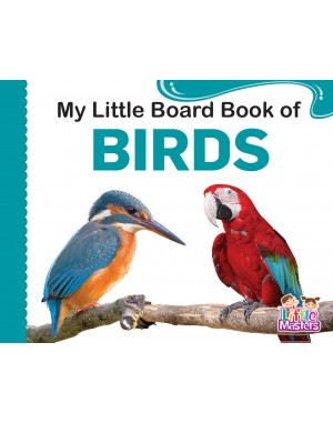 My Little Board Book  of - BIRDS 