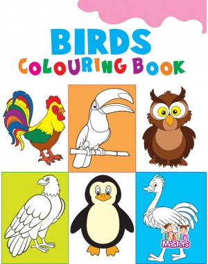 Birds Colouring Book